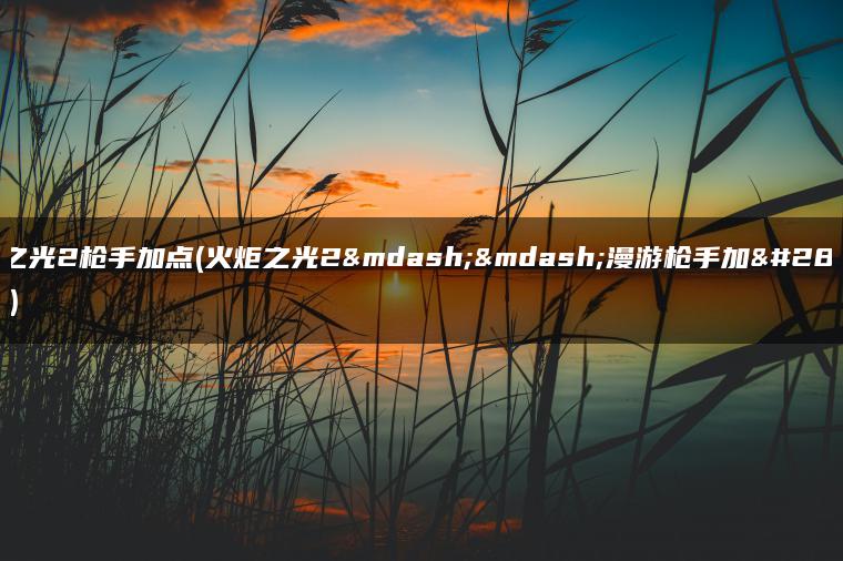 火炬之光2枪手加点(火炬之光2——漫游枪手加点攻略)