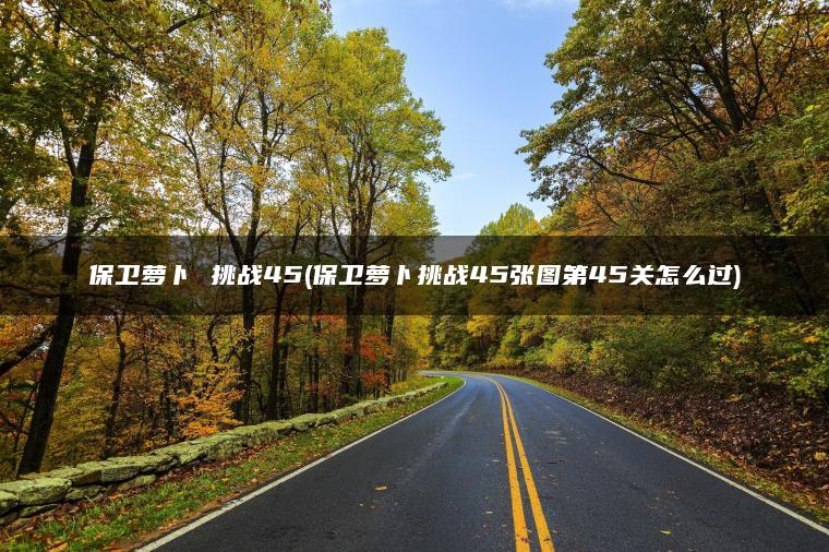 保卫萝卜 挑战45(保卫萝卜挑战45张图第45关怎么过)