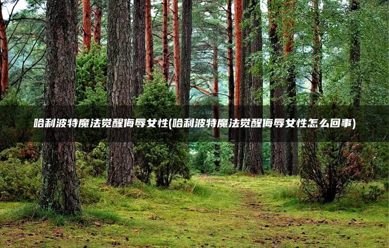 哈利波特魔法觉醒侮辱女性(哈利波特魔法觉醒侮辱女性怎么回事)