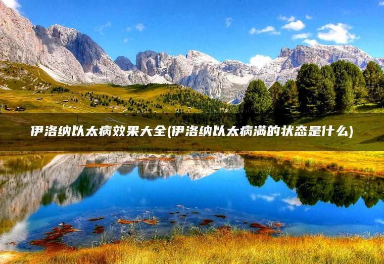 伊洛纳以太病效果大全(伊洛纳以太病满的状态是什么)