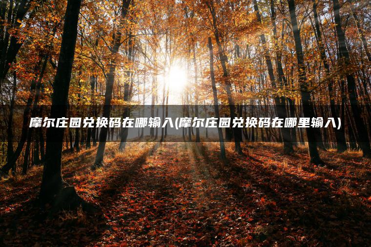 摩尔庄园兑换码在哪输入(摩尔庄园兑换码在哪里输入)