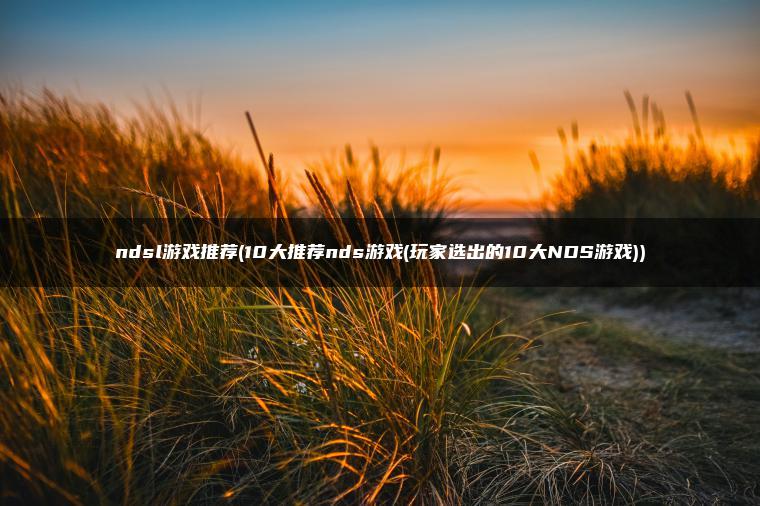 ndsl游戏推荐(10大推荐nds游戏(玩家选出的10大NDS游戏))