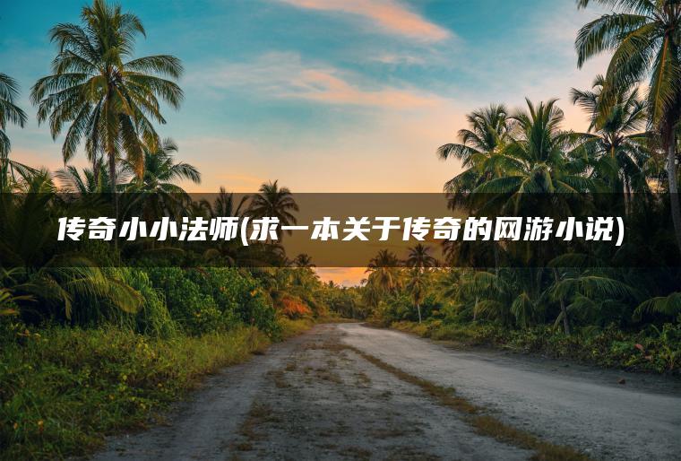 传奇小小法师(求一本关于传奇的网游小说)