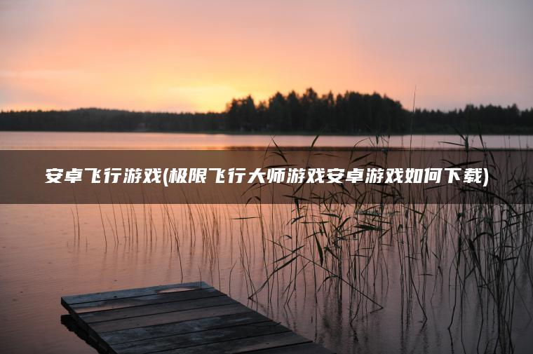 安卓飞行游戏(极限飞行大师游戏安卓游戏如何下载)