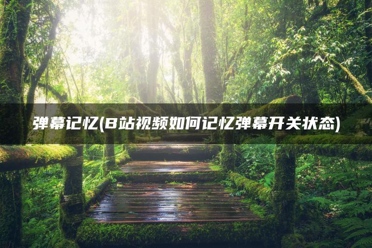 弹幕记忆(B站视频如何记忆弹幕开关状态)
