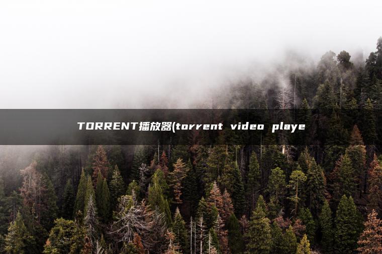 TORRENT播放器(torrent video playe