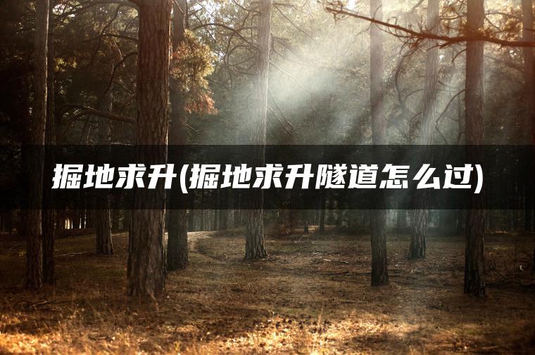 掘地求升(掘地求升隧道怎么过)
