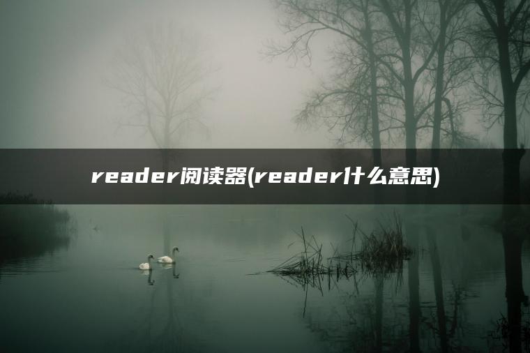 reader阅读器(reader什么意思)