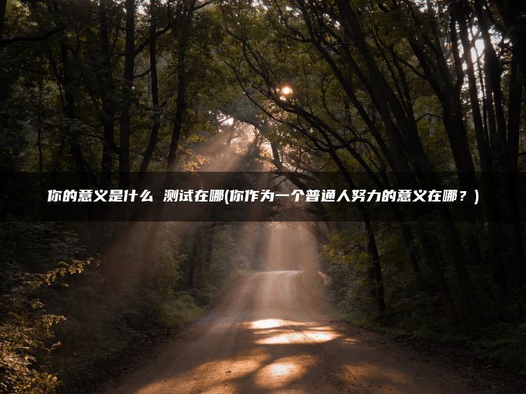 你的意义是什么 测试在哪(你作为一个普通人努力的意义在哪？)