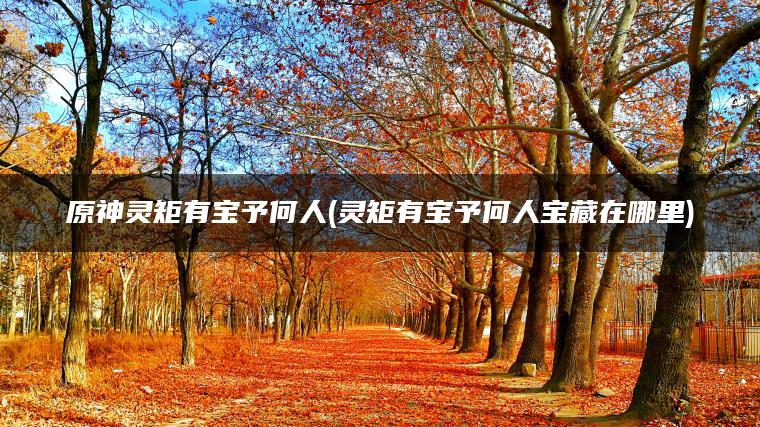 原神灵矩有宝予何人(灵矩有宝予何人宝藏在哪里)