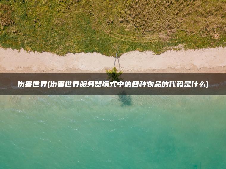 伤害世界(伤害世界服务器模式中的各种物品的代码是什么)