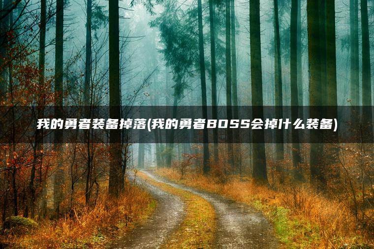 我的勇者装备掉落(我的勇者BOSS会掉什么装备)