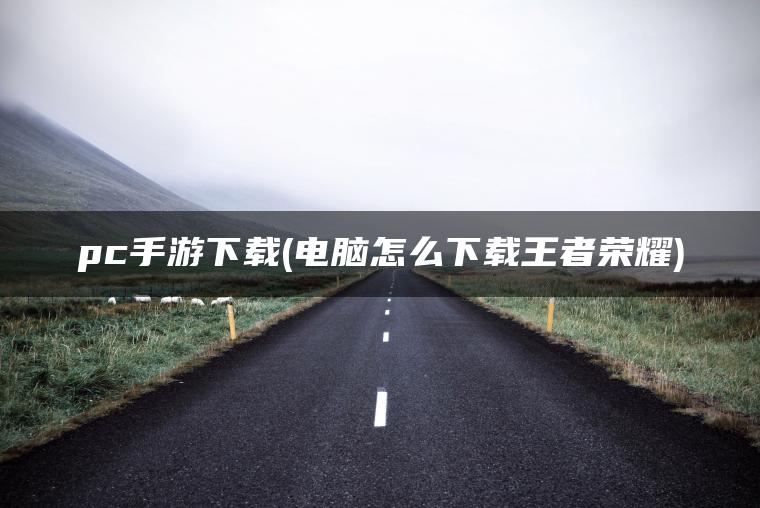 pc手游下载(电脑怎么下载王者荣耀)