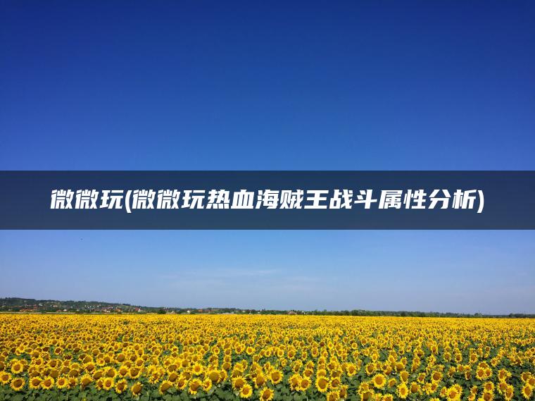 微微玩(微微玩热血海贼王战斗属性分析)