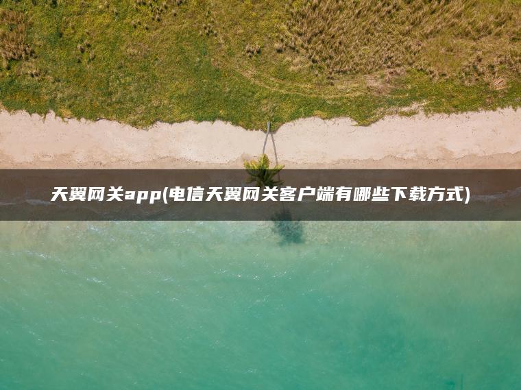 天翼网关app(电信天翼网关客户端有哪些下载方式)