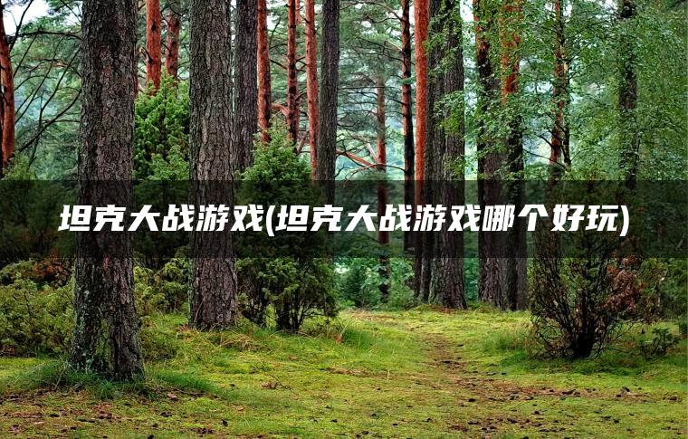 坦克大战游戏(坦克大战游戏哪个好玩)