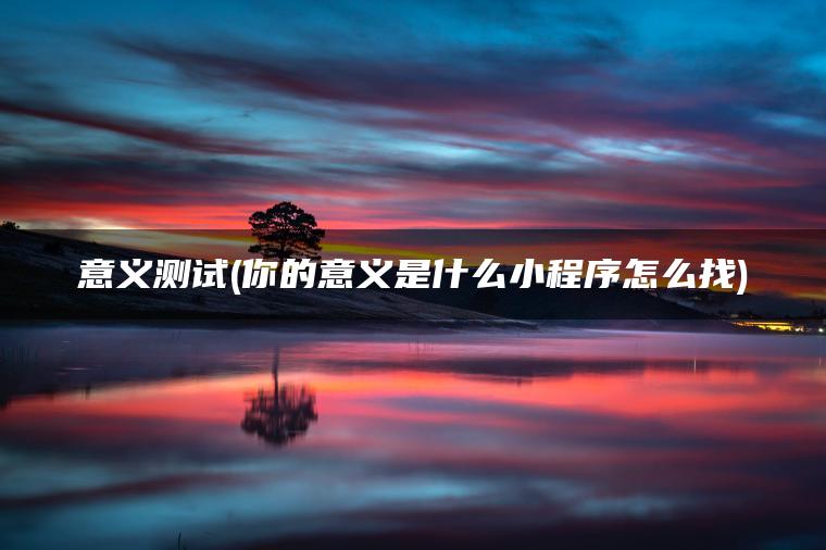 意义测试(你的意义是什么小程序怎么找)
