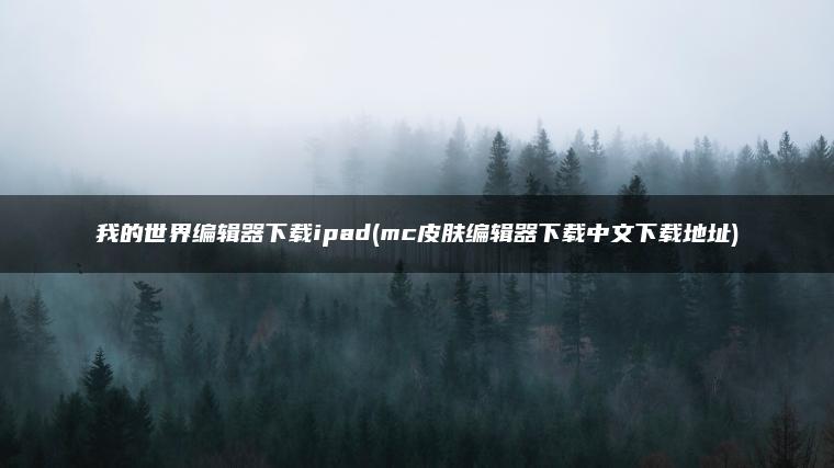 我的世界编辑器下载ipad(mc皮肤编辑器下载中文下载地址)