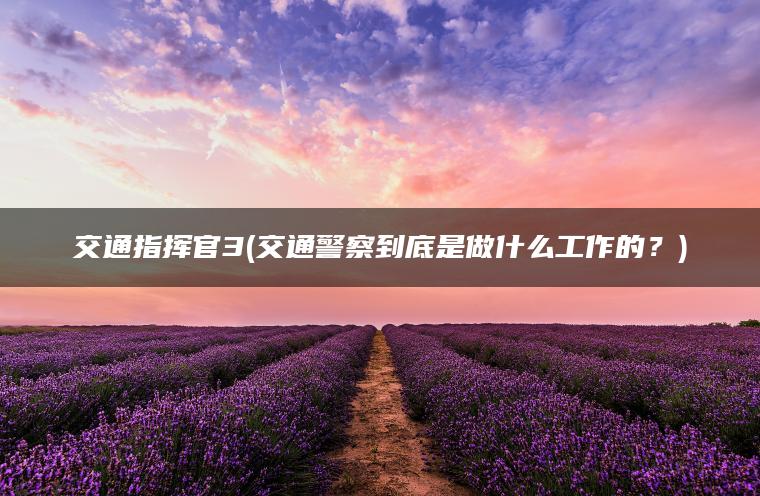 交通指挥官3(交通警察到底是做什么工作的？)