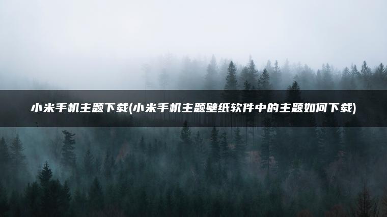 小米手机主题下载(小米手机主题壁纸软件中的主题如何下载)