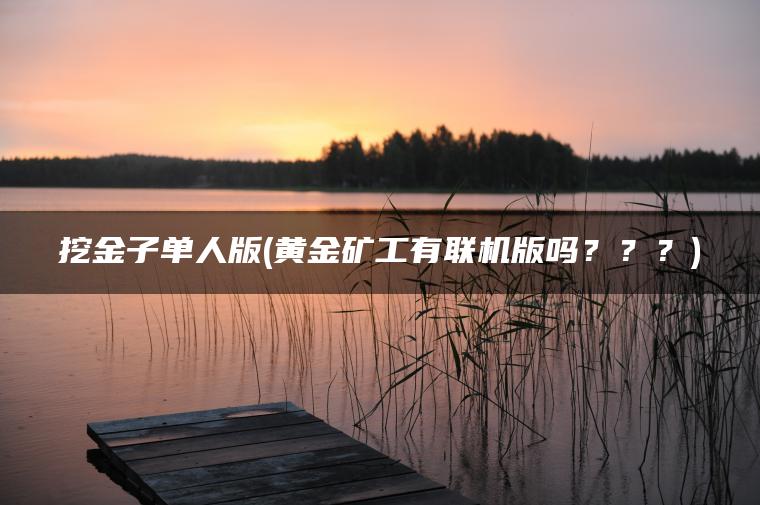 挖金子单人版(黄金矿工有联机版吗？？？)