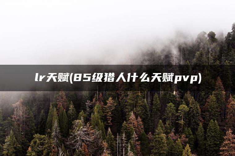 lr天赋(85级猎人什么天赋pvp)