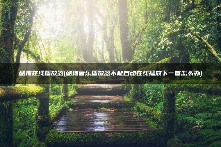 酷狗在线播放器(酷狗音乐播放器不能自动在线播放下一首怎么办)
