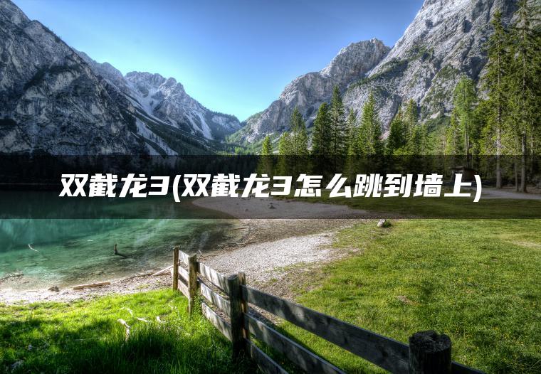 双截龙3(双截龙3怎么跳到墙上)