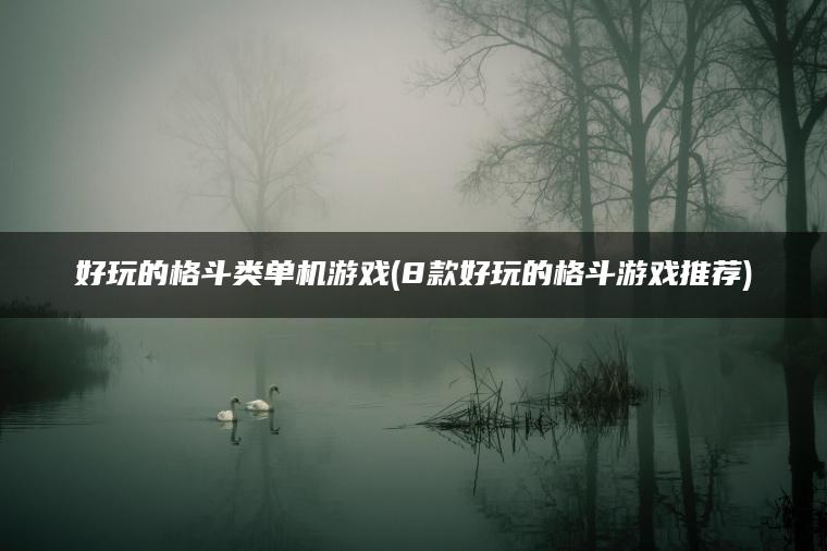 好玩的格斗类单机游戏(8款好玩的格斗游戏推荐)