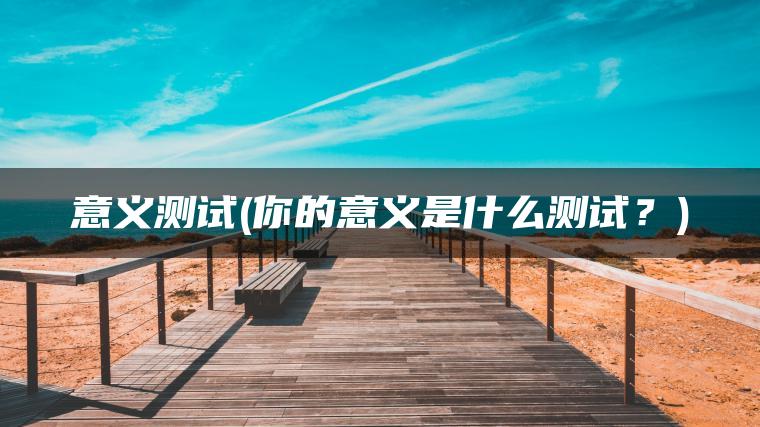 意义测试(你的意义是什么测试？)