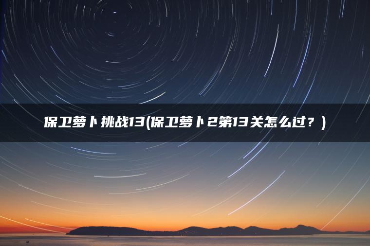保卫萝卜挑战13(保卫萝卜2第13关怎么过？)