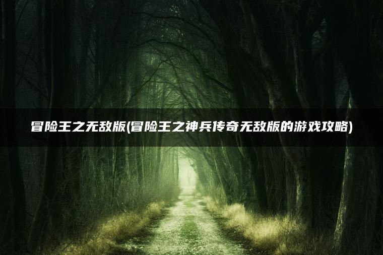冒险王之无敌版(冒险王之神兵传奇无敌版的游戏攻略)