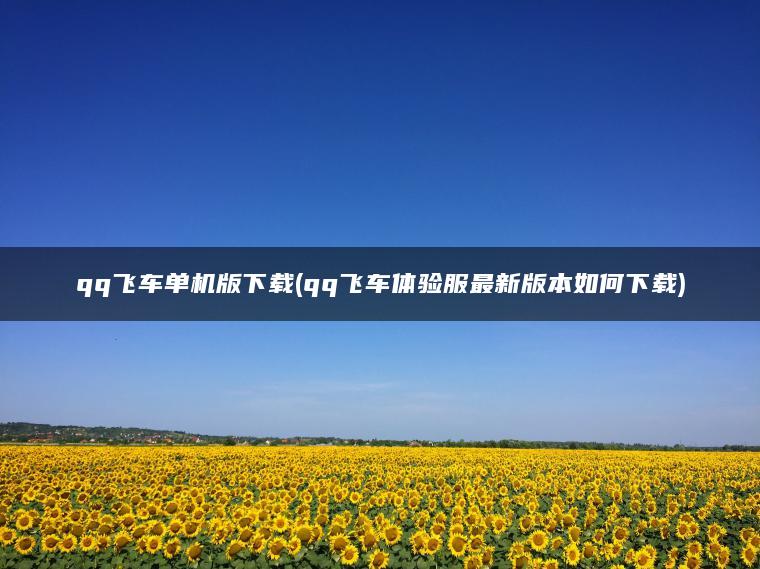 qq飞车单机版下载(qq飞车体验服最新版本如何下载)