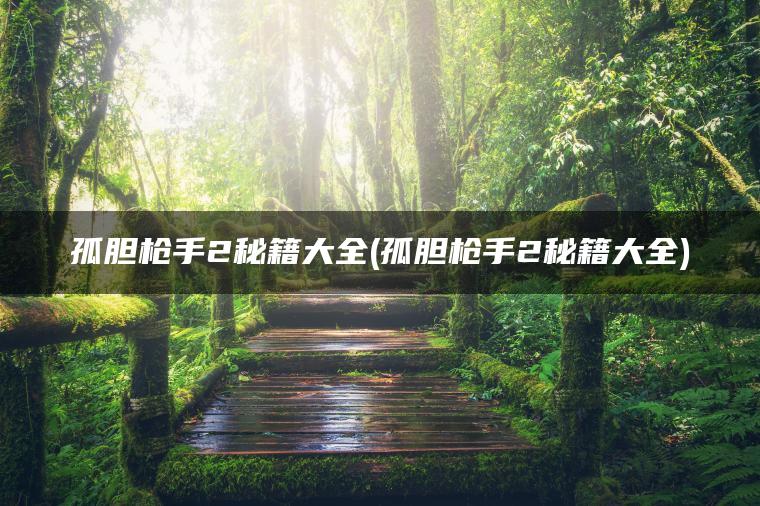 孤胆枪手2秘籍大全(孤胆枪手2秘籍大全)