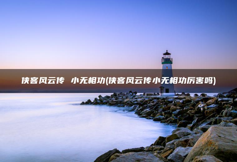 侠客风云传 小无相功(侠客风云传小无相功厉害吗)