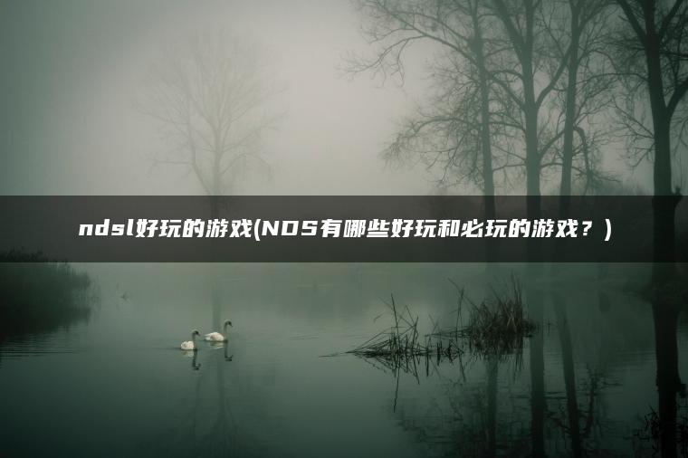 ndsl好玩的游戏(NDS有哪些好玩和必玩的游戏？)