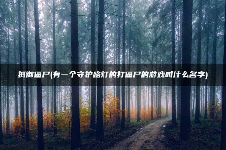 抵御僵尸(有一个守护路灯的打僵尸的游戏叫什么名字)