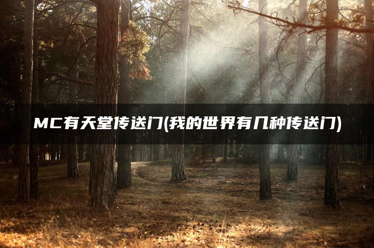 MC有天堂传送门(我的世界有几种传送门)