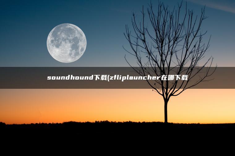 soundhound下载(zfliplauncher在哪下载