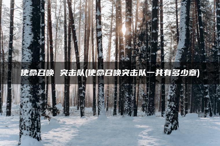 使命召唤 突击队(使命召唤突击队一共有多少章)