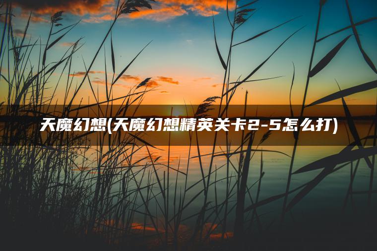 天魔幻想(天魔幻想精英关卡2-5怎么打)