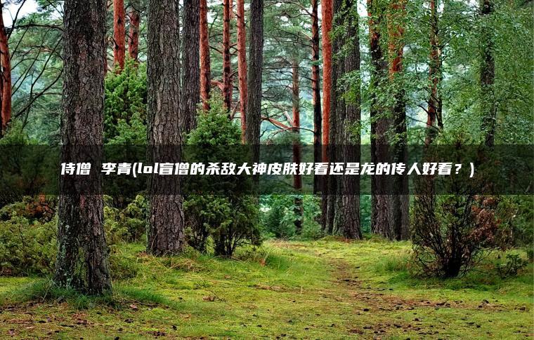 侍僧 李青(lol盲僧的杀敌大神皮肤好看还是龙的传人好看？)