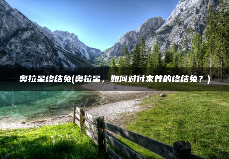 奥拉星终结兔(奥拉星，如何对付家养的终结兔？)