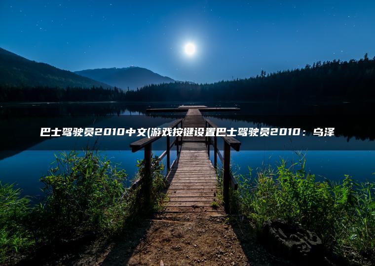 巴士驾驶员2010中文(游戏按键设置巴士驾驶员2010：乌泽