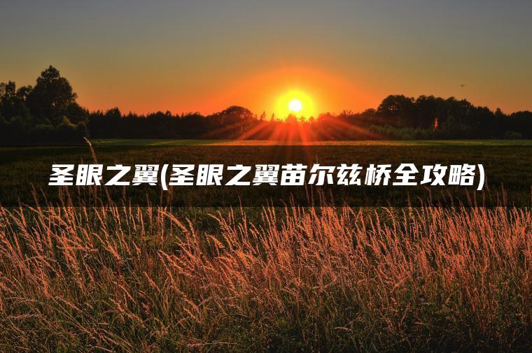 圣眼之翼(圣眼之翼苗尔兹桥全攻略)