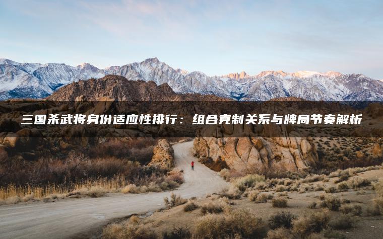 三国杀武将身份适应性排行：组合克制关系与牌局节奏解析