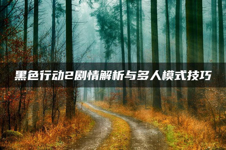 黑色行动2剧情解析与多人模式技巧