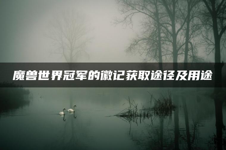 魔兽世界冠军的徽记获取途径及用途