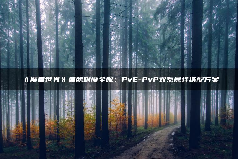 《魔兽世界》肩膀附魔全解：PvE-PvP双系属性搭配方案