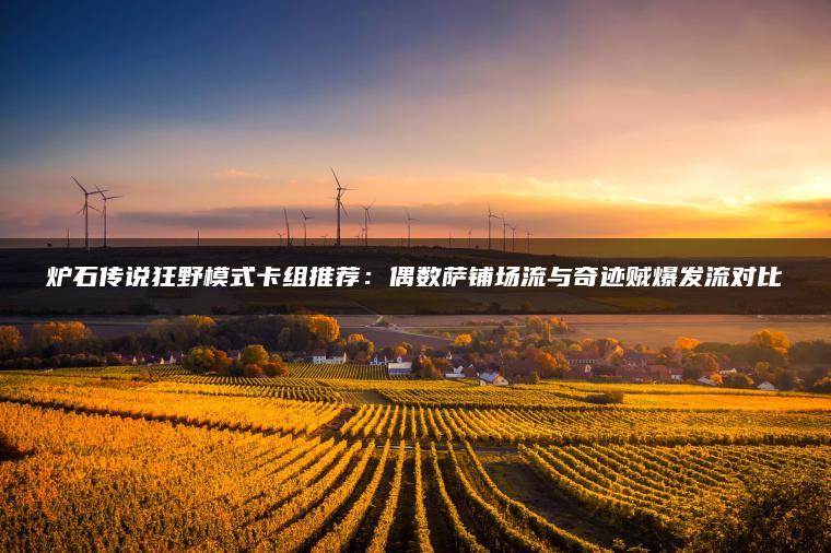 炉石传说狂野模式卡组推荐：偶数萨铺场流与奇迹贼爆发流对比